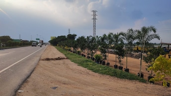 Plot For Resale in Sri India Township Amangal Hyderabad  7979865