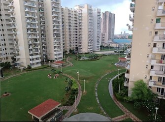 3 BHK Apartment For Resale in Corona Optus Sector 37c Gurgaon  7979891