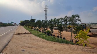 Plot For Resale in Parnika Royal View Kandi Hyderabad  7979984