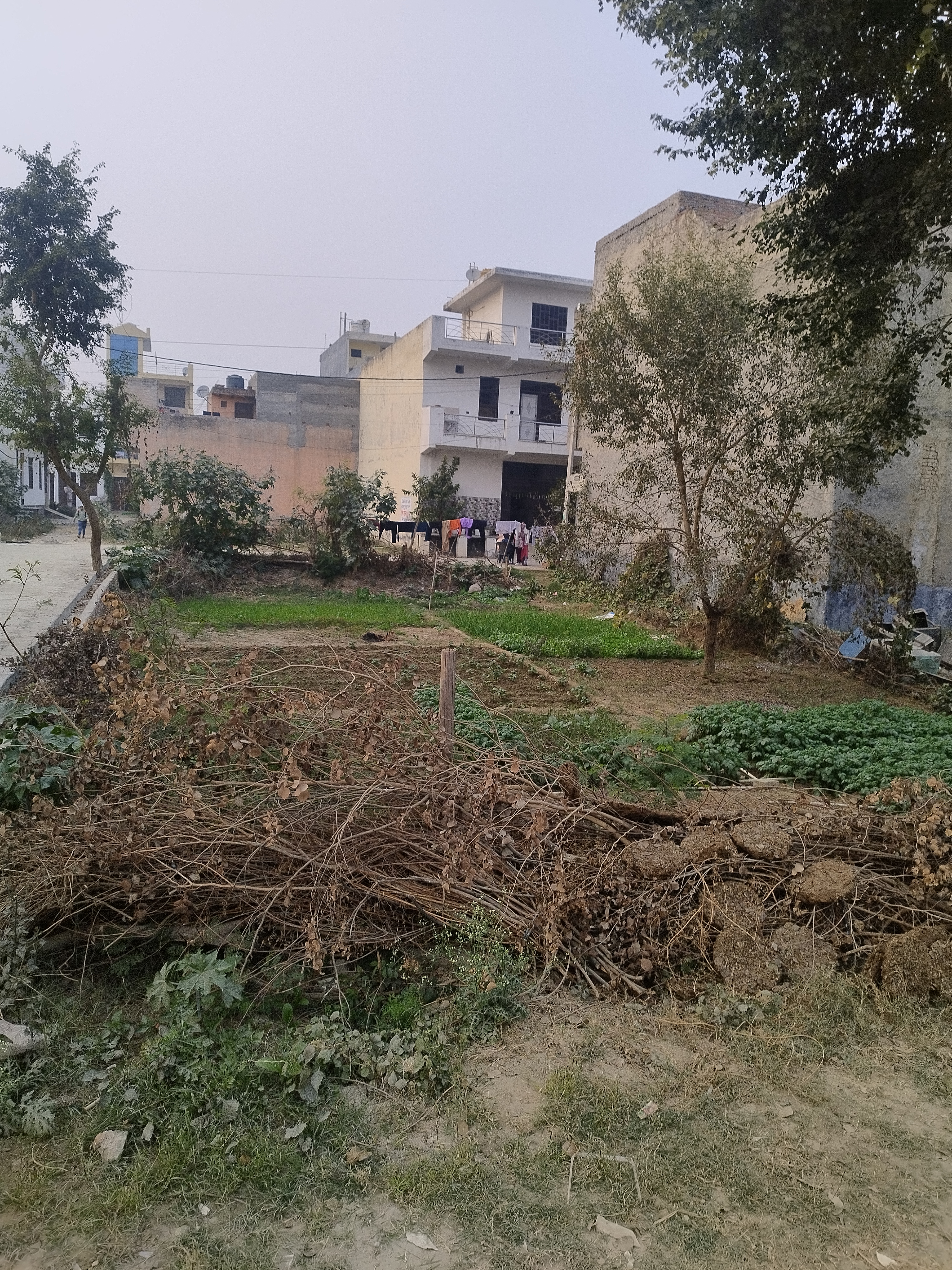 Plot For Sale in Raj Nagar Extension