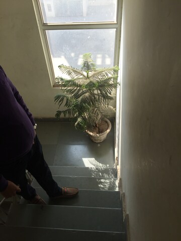 Balcony in 2 BHK Apartment at Adore Samriddhi, Sector 89 – for Sale