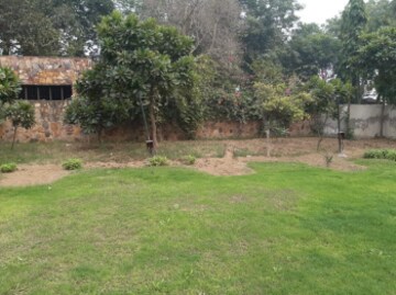Plot Area in  Plot at Tikri – for Sale