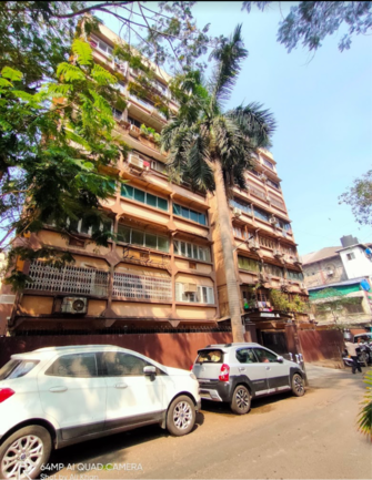 2 BHK Apartment For Rent in Ashoka Apartments Colaba Apollo Bunder Mumbai  7980412