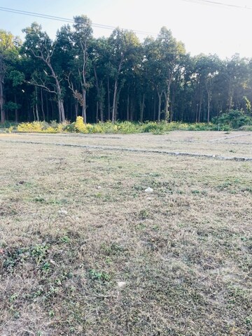 Plot Area in  Plot at Shimla Bypass Road – for Sale