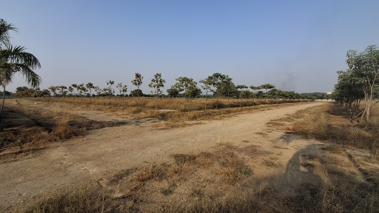 undefined, meenakshi-county  165 Sq.Yd. Plot In Shankarpalli Hyderabad 7980561