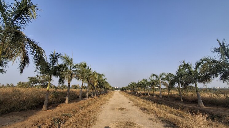 undefined, meenakshi-county  165 Sq.Yd. Plot In Shankarpalli Hyderabad 7980561