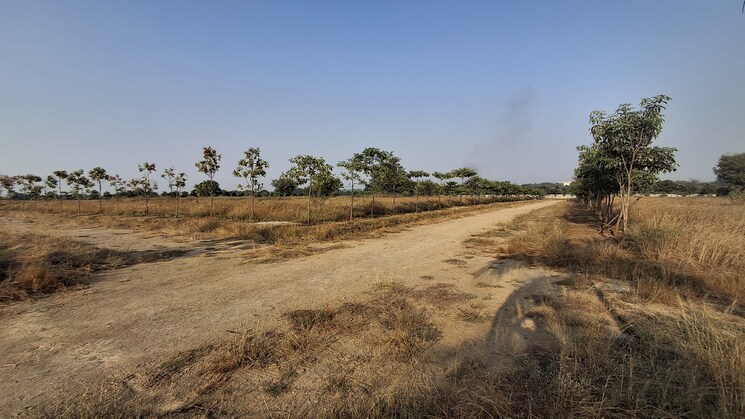 undefined, meenakshi-county  165 Sq.Yd. Plot In Shankarpalli Hyderabad 7980561