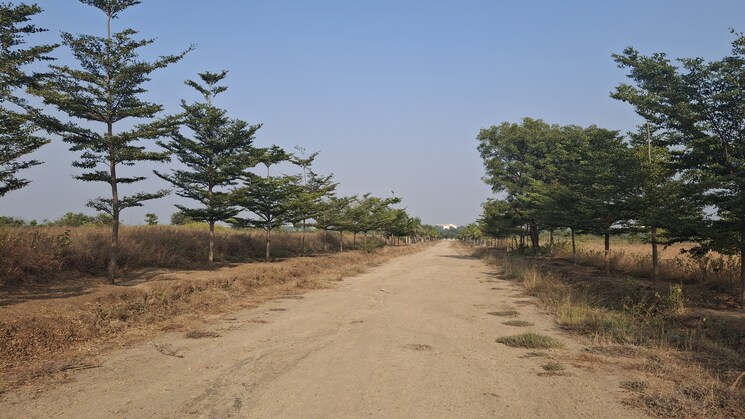 undefined, meenakshi-county  165 Sq.Yd. Plot In Shankarpalli Hyderabad 7980561