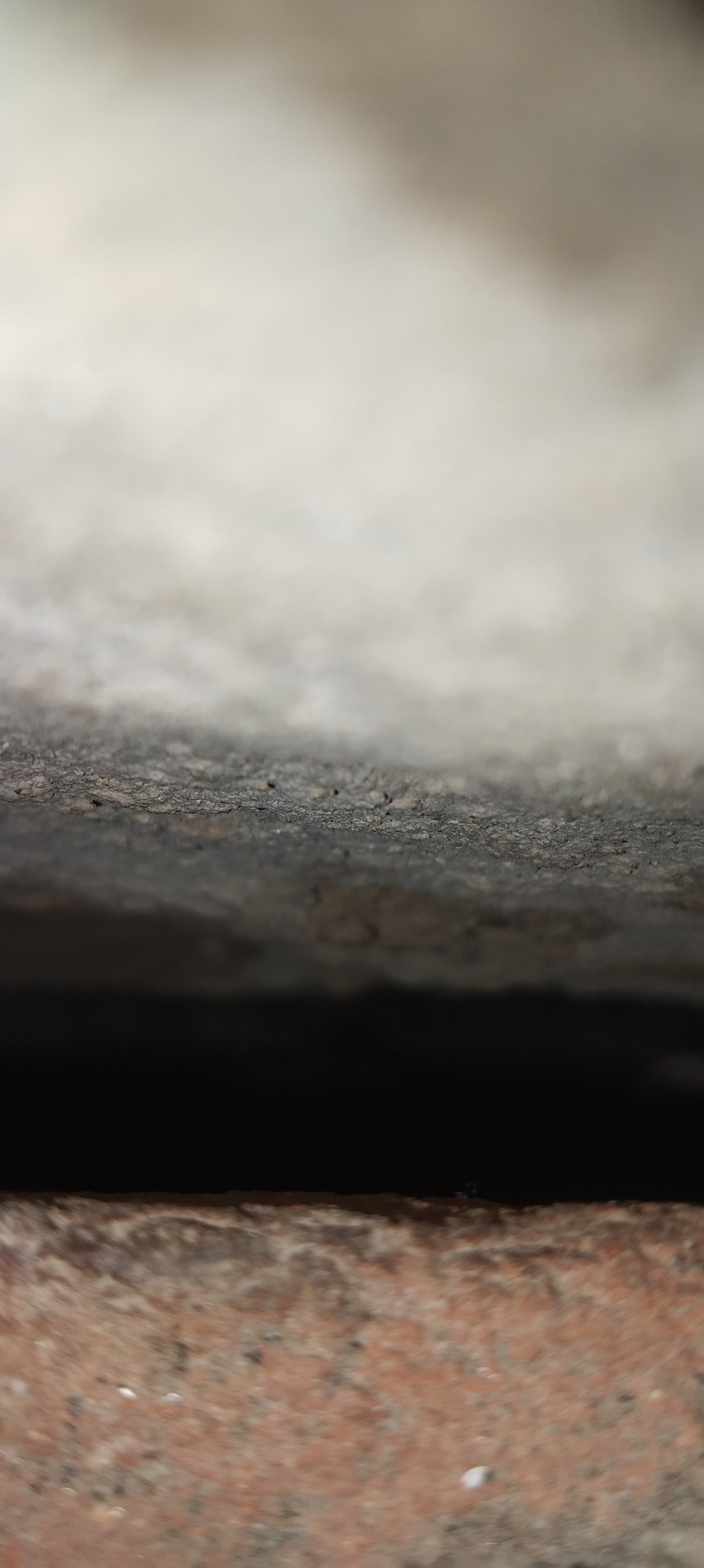 Plot For Sale in New Friends Colony