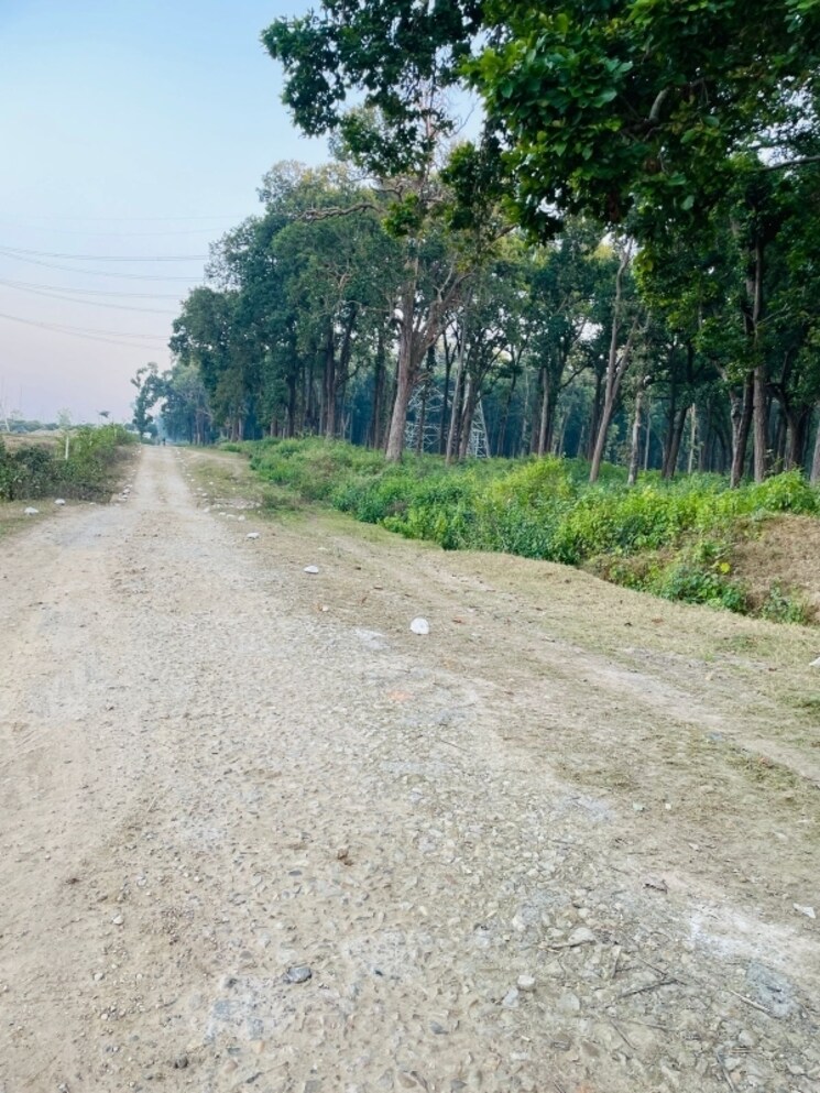 Exterior View, shimla bypass road  145 Sq.Yd. Plot In Shimla Bypass Road Dehradun 7981126