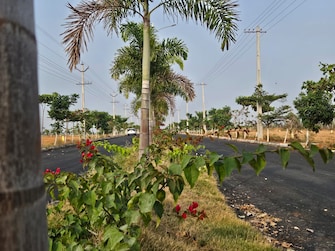 Plot For Resale in Sri Tirumala Mercury Township Mirkhanpet Hyderabad  7981180