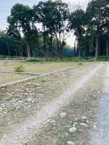 Plot Area in  Plot at Shimla Bypass Road – for Sale