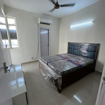 2 BHK Apartment For Rent in Suncity Avenue 76 Sector 76 Gurgaon  7981235