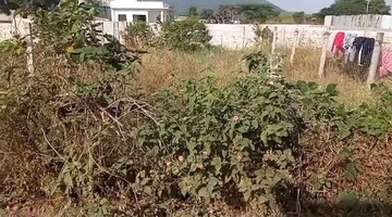 Plot Area in  Plot at Devguradia – for Sale