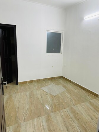 3 BHK Apartment For Rent in Shourya Alstonia Apartment Gn Sector pi Greater Noida  7981340