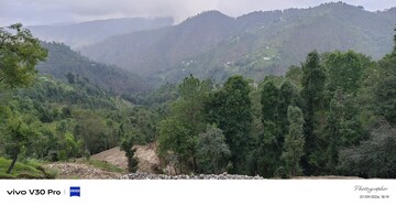 Plot Area in  Plot at Mukteshwar – for Sale