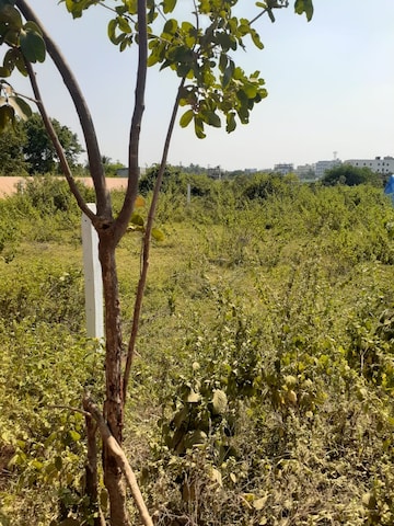 Plot For Resale in Mallapur Hyderabad  7981355