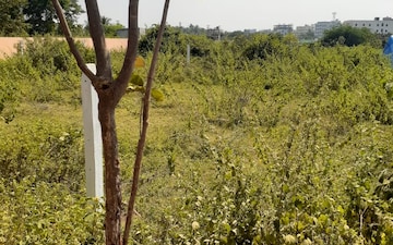 Plot For Sale in Mallapur