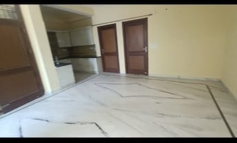 2 BHK Apartment For Rent in RWA Apartments Sector 122 Sector 122 Noida  7981414