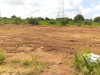 Plot For Resale in Shamirpet Hyderabad  7981431