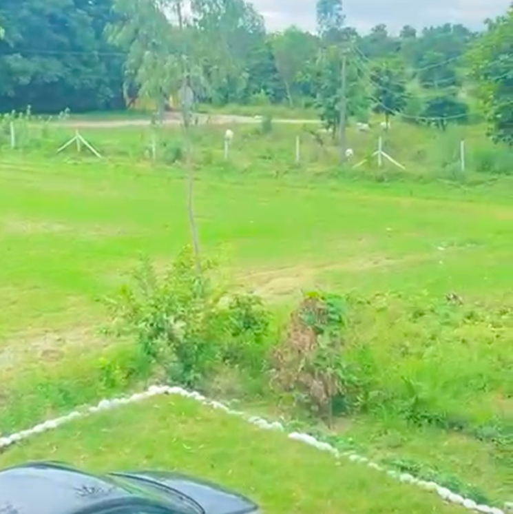 Garden, dehradun cantt  250 Sq.Yd. Plot In Dehradun Cantt Dehradun 7981507