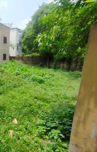 Plot For Resale in Alipore Kolkata  7981571