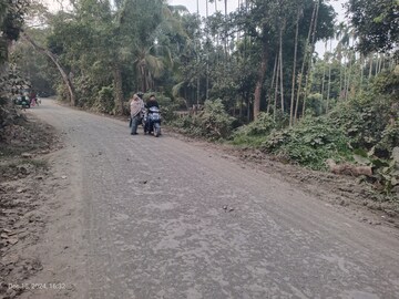  Plot For Sale in Baruipur