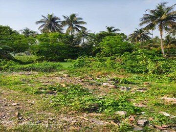 Plot Area in  Plot at Joka – for Sale
