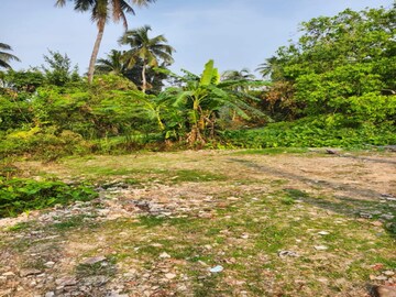 Plot Area in  Plot at Joka – for Sale