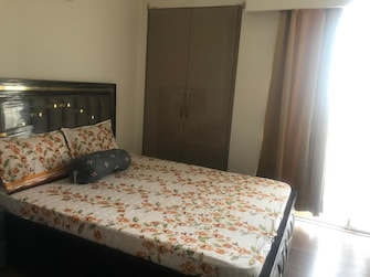 3 BHK Apartment For Rent in AIPL Zen Residences Sector 70a Gurgaon  7981706