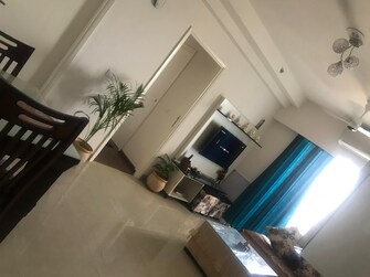 3 BHK Apartment For Rent in AIPL Zen Residences Sector 70a Gurgaon  7981706