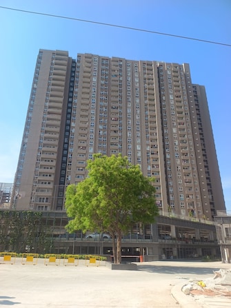 3 BHK Apartment For Resale in Assetz Marq Whitefield Bangalore  7981700