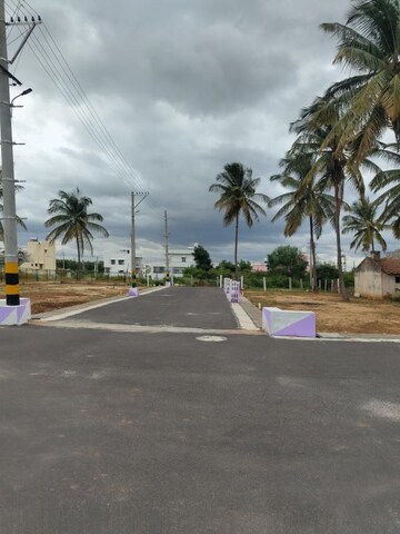 Plot For Resale in Kora Tumkur  7981794