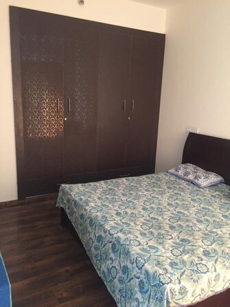 2 BHK Apartment For Rent in Ace Golfshire Sector 150 Noida  7951034