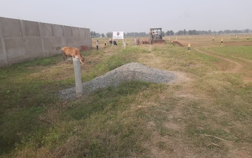 Plot For Sale in Kadamkuan