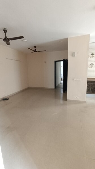 2 BHK Apartment For Rent in Aditya Celebrity Homes Sector 76 Noida  7982128