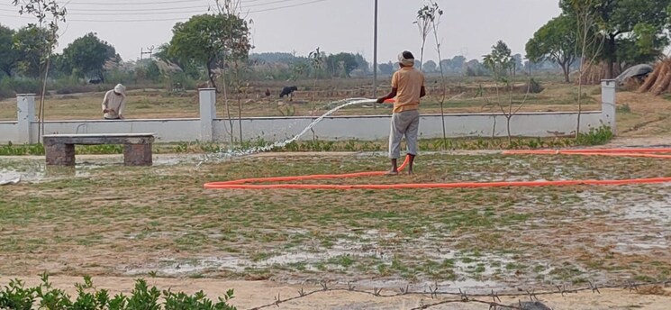 undefined, chhata  200 Sq.Yd. Plot In Chhata Mathura 7982171