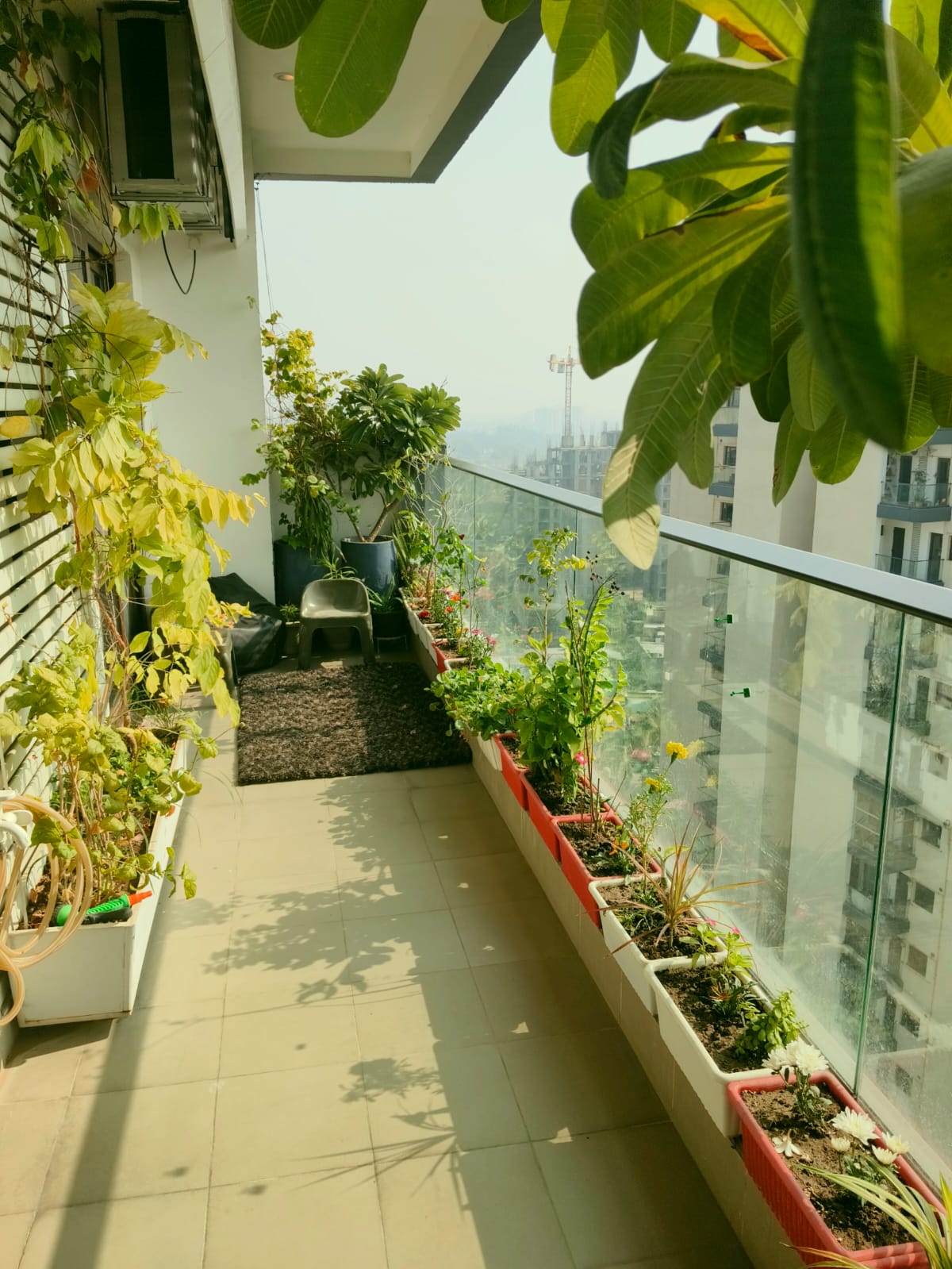 3 BHK 1629 Sq.Ft. Apartment in Azeagaia Botanica