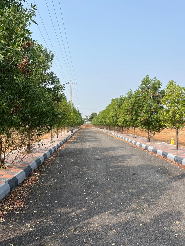 Exterior View, shadnagar  220 Sq.Yd. Plot In Shadnagar Hyderabad 7982301