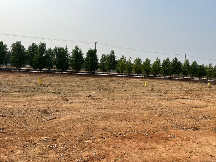 undefined, shadnagar  220 Sq.Yd. Plot In Shadnagar Hyderabad 7982301