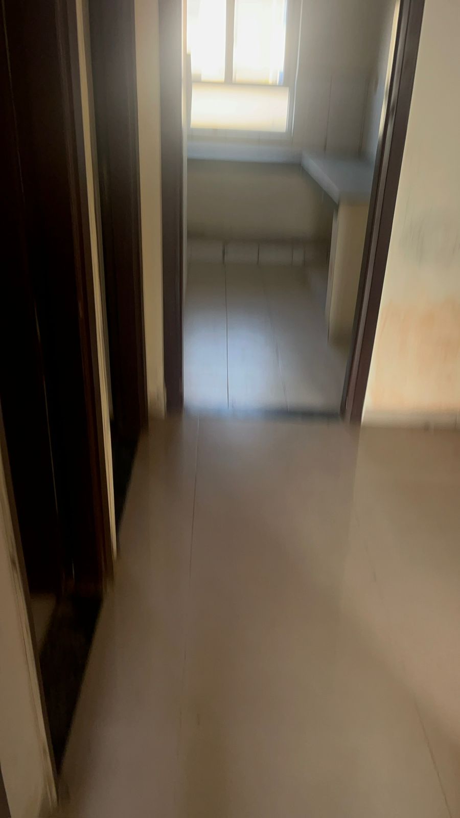 3 BHK 740 Sq.Ft. Apartment in Terra Lavinium