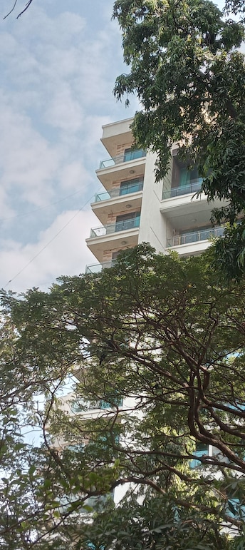 3 BHK Apartment For Rent in Bandra West Mumbai  7982357