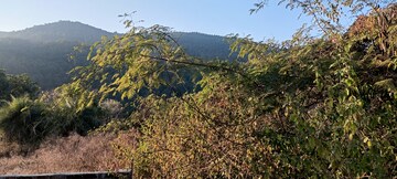  Plot – Garden View at Garhi Cantt - for Sale
