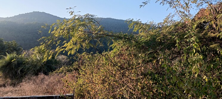 Garden, garhi cantt  225 Sq.Yd. Plot In Garhi Cantt Dehradun 7982390