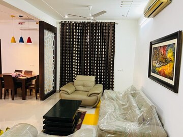 Team Area in 3 BHK Builder Floor at Sector 14 – for Rent