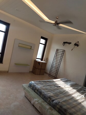 3 BHK Builder Floor For Rent in Sector 14 Faridabad  7982449