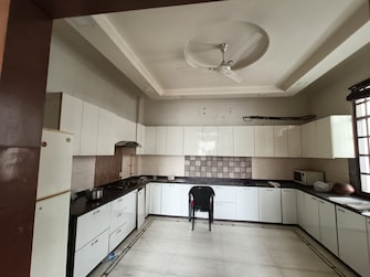 3 BHK Builder Floor For Rent in Sector 15 Faridabad  7982462