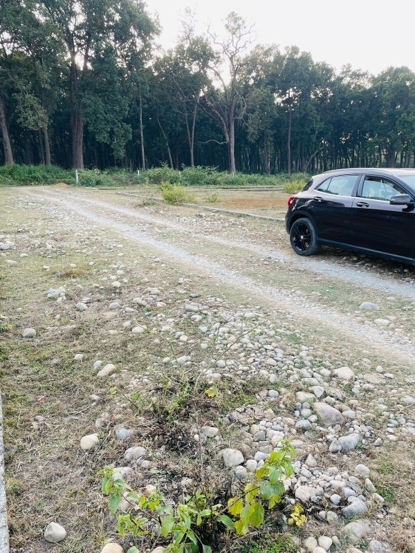 Plot For Sale in Badowala