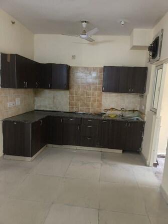 2 BHK Apartment For Rent in Aims Golf City Sector 75 Noida  7982692