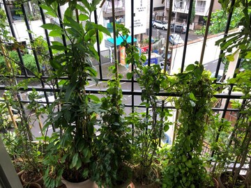  2 BHK Apartment at Kopar Khairane – for Sale